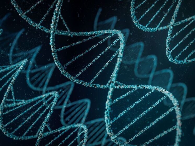 Стало известно, что умные дети живут дольше