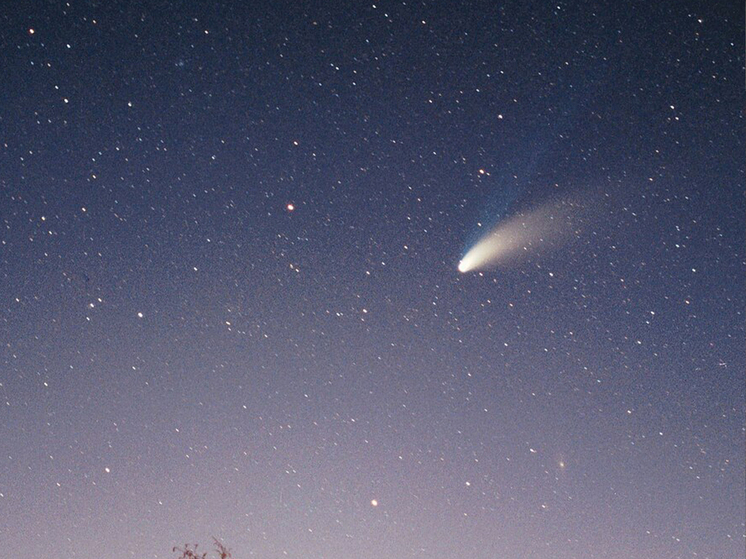 Исследователи выяснили вероятность гибели от самых странных причин