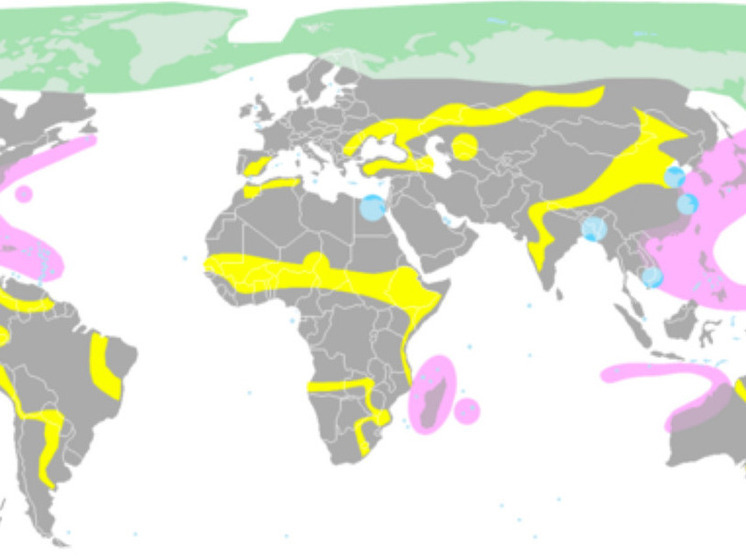 У мира сохранилась возможность избежать климатической катастрофы — отчет Climate Analytics