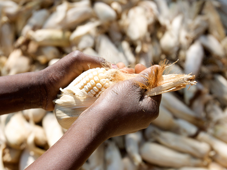 Эксперты озвучили страшный сценарий всемирного голода во время ядерной зимы