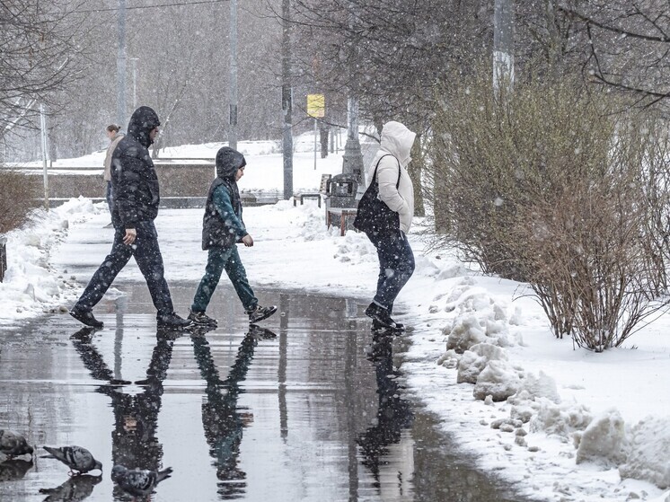 Метеоролог Сафонов предположил три варианта нынешней зимы