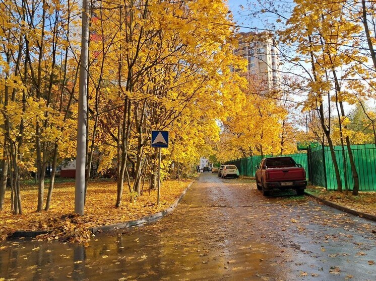 Синоптик Позднякова: до конца октября погода в Москве будет спокойной и предсказуемой