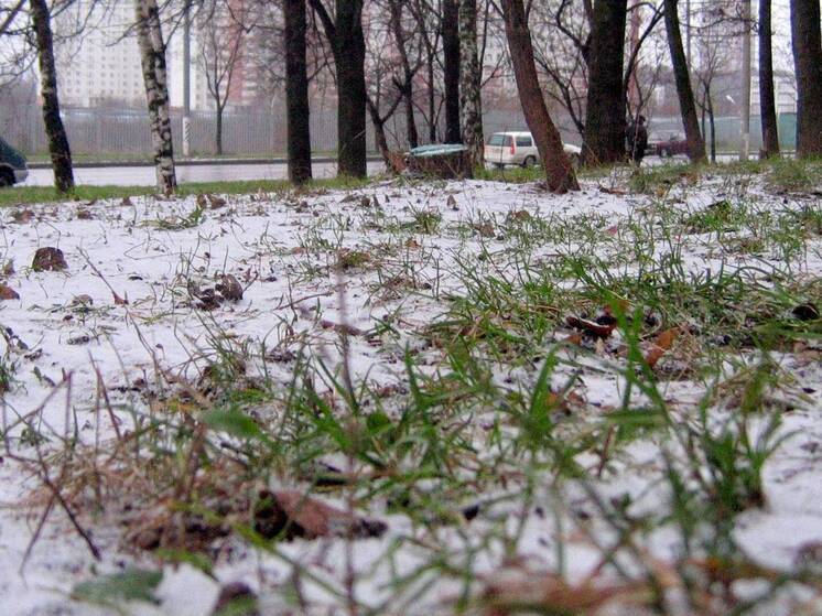 Вторая декада октября в Центре России будет достаточно прохладной