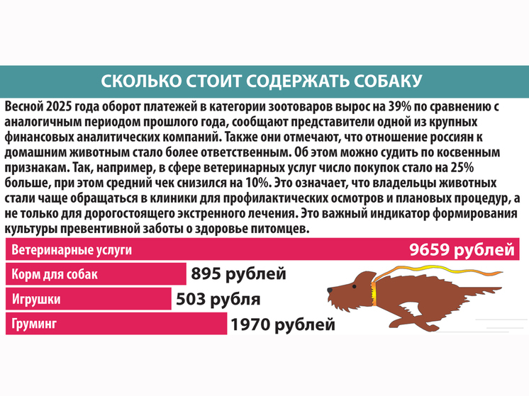 Сколько стоит содержать собаку