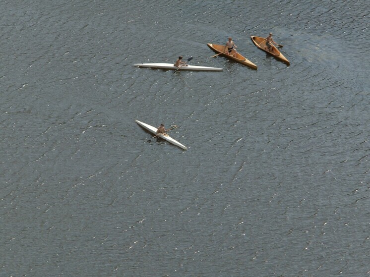 Миколог пересек океан на каяке, сделанном из грибного мицелия