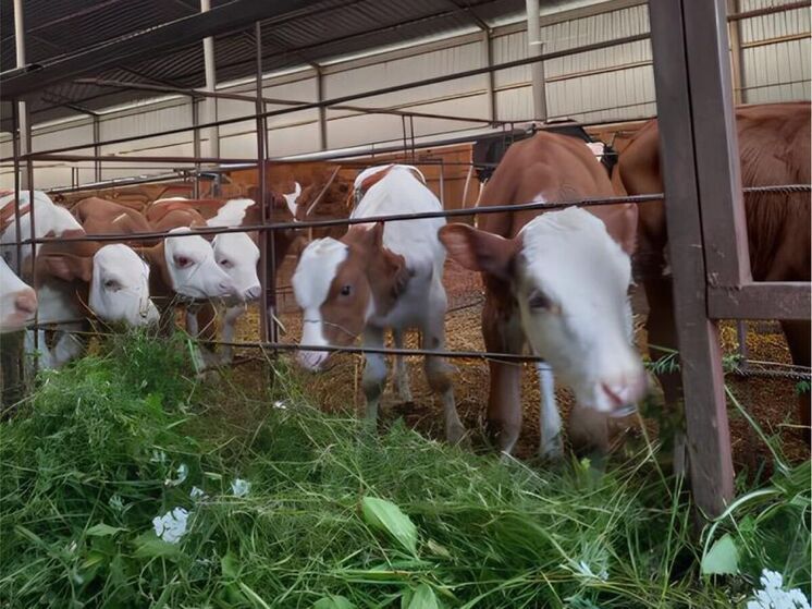 «Труд кормит, одевает и делает государство могучим»