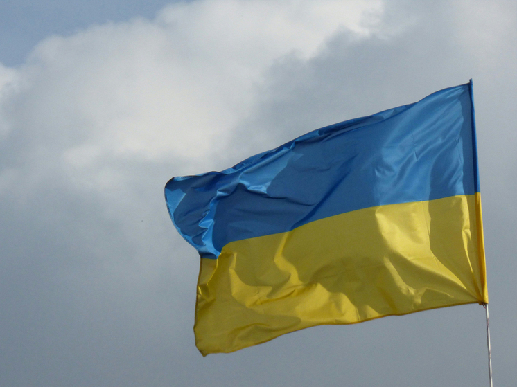 Пара из Закарпатья наладила перекачку денег чешских налогоплательщиков в свои карманы