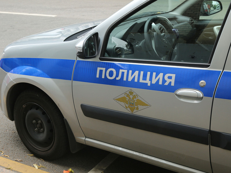 В Барнауле продается стриптиз-клуб за 11 млн рублей, а гостиничный номер рязанской актрисы Любови Толкалиной разгромили бабуины: картина дня в регионах России глазами «МК»