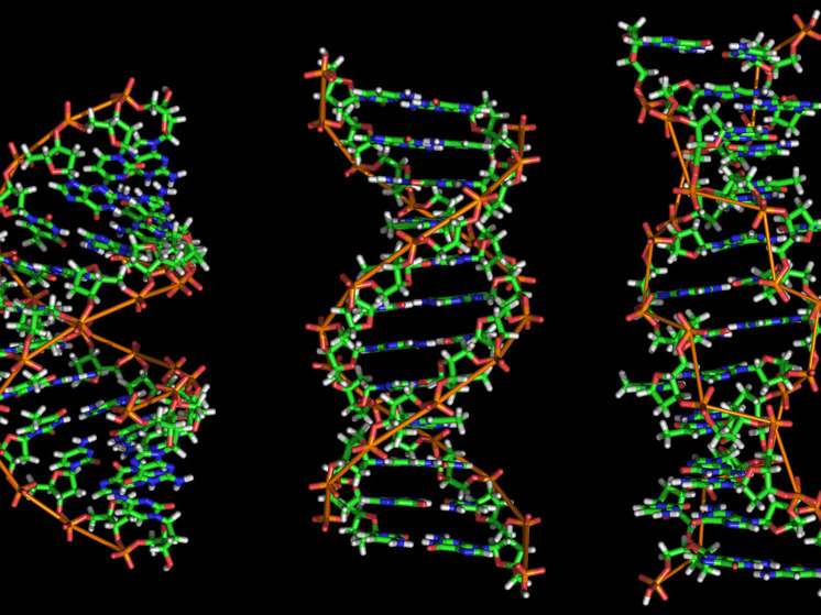 ДНК-анализ Гитлера выявил склонность к психическим расстройствам и гормональные аномалии