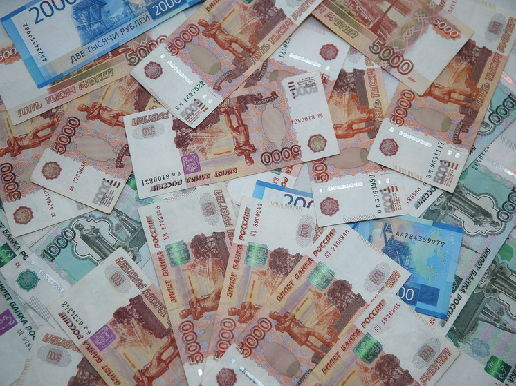 Миронов предложил увеличивать маткапитал за каждого следующего ребенка