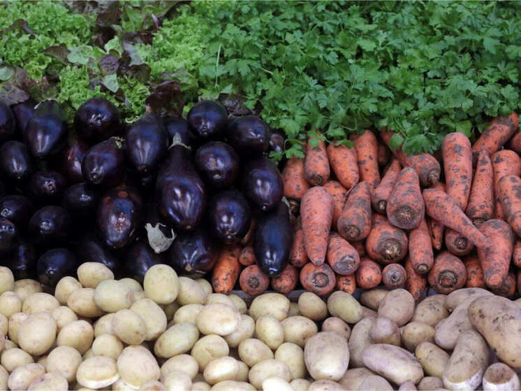 В России утвердили первый ГОСТ для фермерской продукции