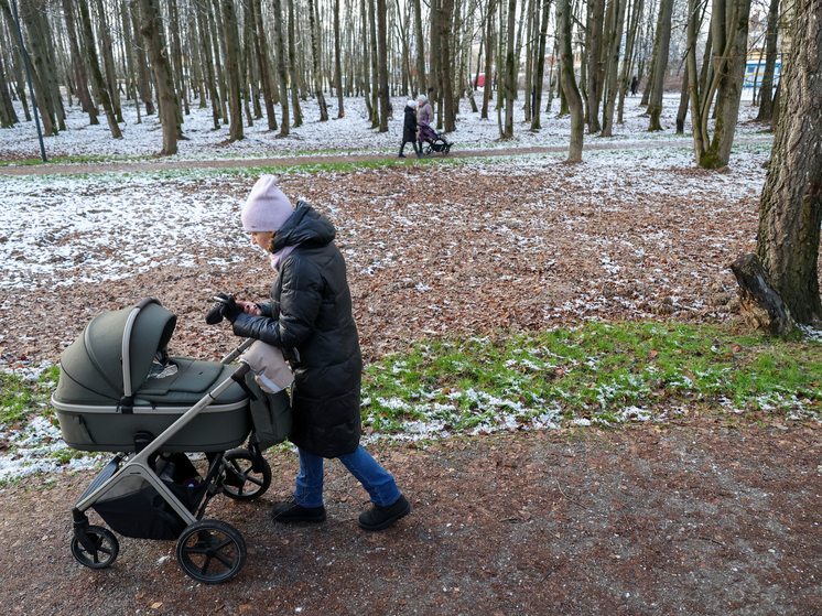 Гидрометцентр: заморозки вновь возвращаются в Москву и Подмосковье после почти суток теплой погоды