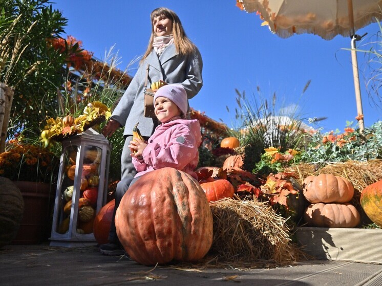 Вильфанд: дефицит осадков в октябре прогнозируется в ЦФО, на юге Урала и СЗФО