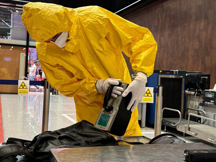 Выяснилось, какой зараженный радиацией багаж везут пассажиры в Россию