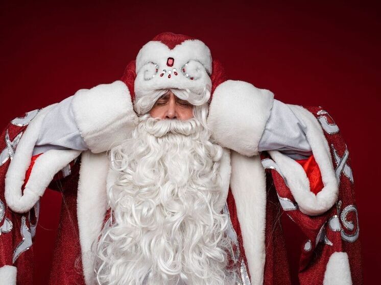 Визит Деда Мороза на дом оценивается в 2500 рублей в декабре, до 40 000 в новогоднюю ночь