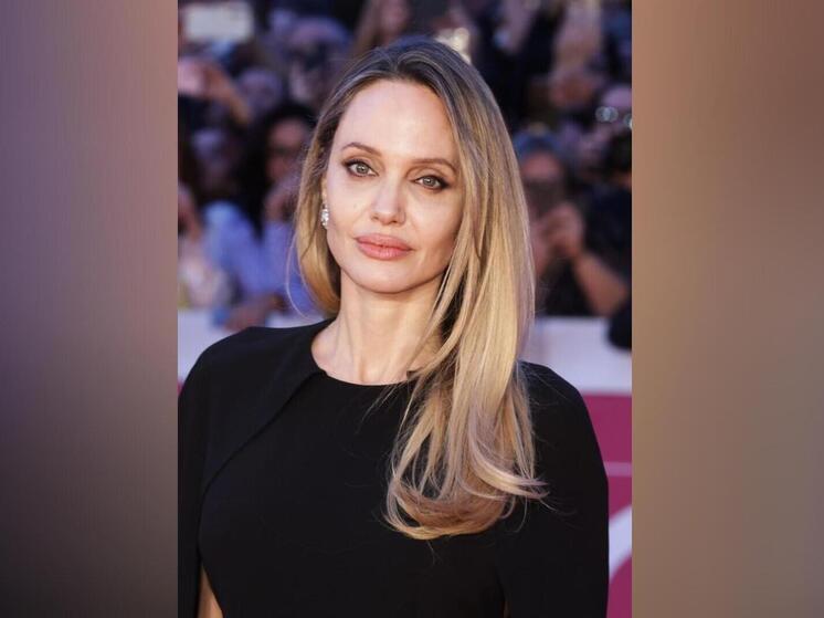 Волонтер Анджелины Джоли задержан украинским ТЦК во время визита актрисы в Херсон